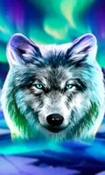 Wolf Fang - Northern Spirits
